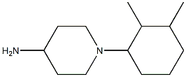  1-(2,3-dimethylcyclohexyl)piperidin-4-amine