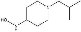 1-(2-methylpropyl)piperidine-4-hydroxylamine Struktur