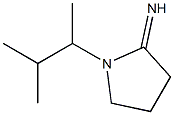 1-(3-methylbutan-2-yl)pyrrolidin-2-imine 化学構造式