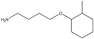 1-(4-aminobutoxy)-2-methylcyclohexane Struktur