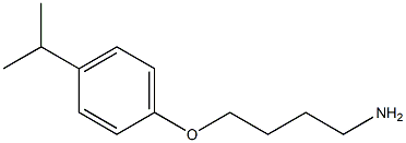  1-(4-aminobutoxy)-4-(propan-2-yl)benzene