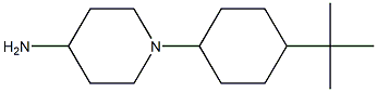 1-(4-tert-butylcyclohexyl)piperidin-4-amine 化学構造式