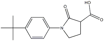 1-(4-tert-butylphenyl)-2-oxopyrrolidine-3-carboxylic acid 化学構造式