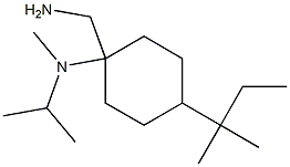 1-(aminomethyl)-N-methyl-4-(2-methylbutan-2-yl)-N-(propan-2-yl)cyclohexan-1-amine