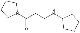 1-(pyrrolidin-1-yl)-3-(thiolan-3-ylamino)propan-1-one