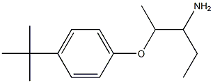  1-[(3-aminopentan-2-yl)oxy]-4-tert-butylbenzene