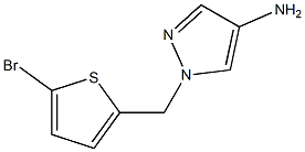1-[(5-bromothiophen-2-yl)methyl]-1H-pyrazol-4-amine|1-((5-溴噻吩-2-基)甲基)-1H-吡唑-4-胺