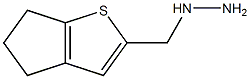 1-{4H,5H,6H-cyclopenta[b]thiophen-2-ylmethyl}hydrazine 结构式