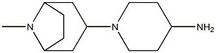 1-{8-methyl-8-azabicyclo[3.2.1]octan-3-yl}piperidin-4-amine