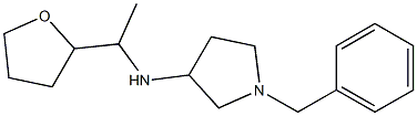 1-benzyl-N-[1-(oxolan-2-yl)ethyl]pyrrolidin-3-amine Struktur
