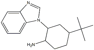 2-(1H-1,3-benzodiazol-1-yl)-4-tert-butylcyclohexan-1-amine Struktur
