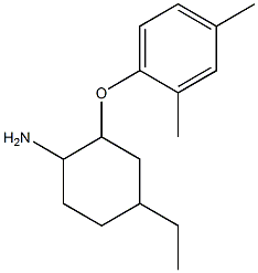 2-(2,4-dimethylphenoxy)-4-ethylcyclohexan-1-amine 结构式