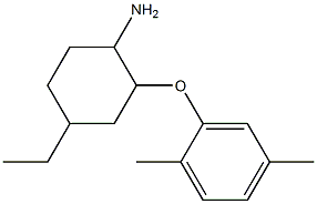 2-(2,5-dimethylphenoxy)-4-ethylcyclohexan-1-amine,,结构式
