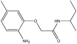 2-(2-amino-5-methylphenoxy)-N-(sec-butyl)acetamide