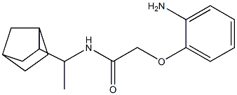 2-(2-aminophenoxy)-N-(1-{bicyclo[2.2.1]heptan-2-yl}ethyl)acetamide