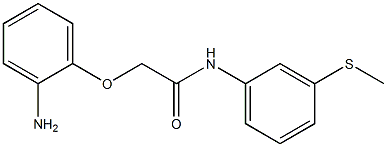 2-(2-aminophenoxy)-N-[3-(methylsulfanyl)phenyl]acetamide 化学構造式