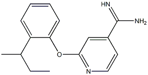 2-(2-sec-butylphenoxy)pyridine-4-carboximidamide,,结构式