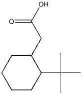 2-(2-tert-butylcyclohexyl)acetic acid,,结构式
