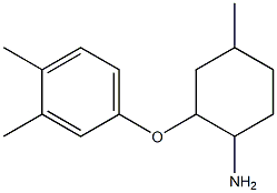 2-(3,4-dimethylphenoxy)-4-methylcyclohexan-1-amine 结构式