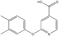 2-(3,4-dimethylphenoxy)pyridine-4-carboxylic acid|