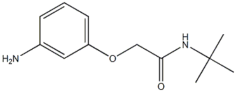2-(3-aminophenoxy)-N-(tert-butyl)acetamide Structure