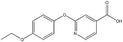 2-(4-ethoxyphenoxy)pyridine-4-carboxylic acid Structure