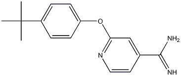 2-(4-tert-butylphenoxy)pyridine-4-carboximidamide 化学構造式