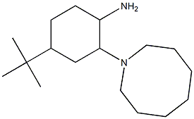 2-(azocan-1-yl)-4-tert-butylcyclohexan-1-amine