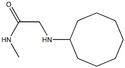 2-(cyclooctylamino)-N-methylacetamide Struktur