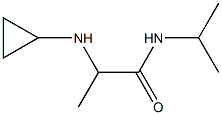 2-(cyclopropylamino)-N-(propan-2-yl)propanamide Struktur