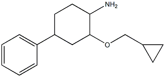 2-(cyclopropylmethoxy)-4-phenylcyclohexan-1-amine