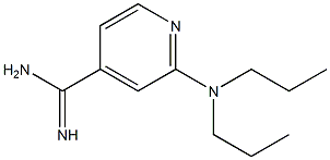 2-(dipropylamino)pyridine-4-carboximidamide 化学構造式