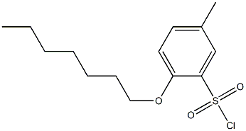 2-(heptyloxy)-5-methylbenzene-1-sulfonyl chloride,,结构式