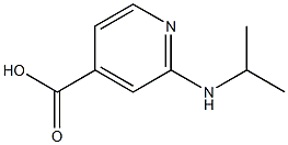 2-(propan-2-ylamino)pyridine-4-carboxylic acid,,结构式