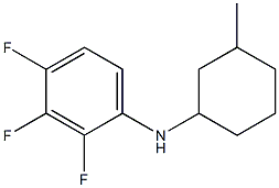 2,3,4-trifluoro-N-(3-methylcyclohexyl)aniline 化学構造式