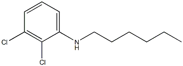 2,3-dichloro-N-hexylaniline