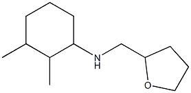 2,3-dimethyl-N-(oxolan-2-ylmethyl)cyclohexan-1-amine