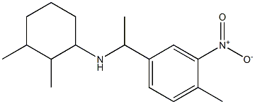 2,3-dimethyl-N-[1-(4-methyl-3-nitrophenyl)ethyl]cyclohexan-1-amine