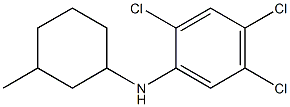 2,4,5-trichloro-N-(3-methylcyclohexyl)aniline Struktur
