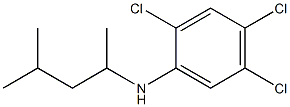 2,4,5-trichloro-N-(4-methylpentan-2-yl)aniline,,结构式