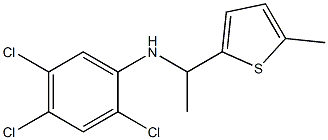 2,4,5-trichloro-N-[1-(5-methylthiophen-2-yl)ethyl]aniline