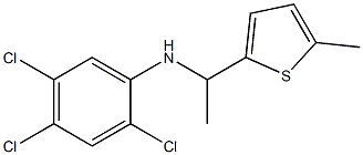  2,4,5-trichloro-N-[1-(5-methylthiophen-2-yl)ethyl]aniline