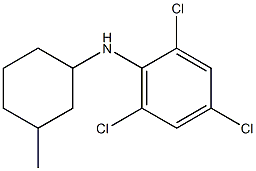 2,4,6-trichloro-N-(3-methylcyclohexyl)aniline,,结构式