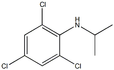 2,4,6-trichloro-N-(propan-2-yl)aniline,,结构式