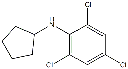 2,4,6-trichloro-N-cyclopentylaniline 化学構造式