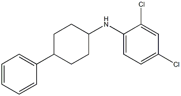 2,4-dichloro-N-(4-phenylcyclohexyl)aniline 结构式