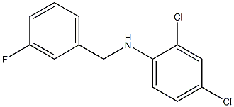 2,4-dichloro-N-[(3-fluorophenyl)methyl]aniline
