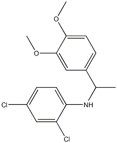 2,4-dichloro-N-[1-(3,4-dimethoxyphenyl)ethyl]aniline Structure