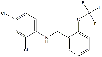 2,4-dichloro-N-{[2-(trifluoromethoxy)phenyl]methyl}aniline