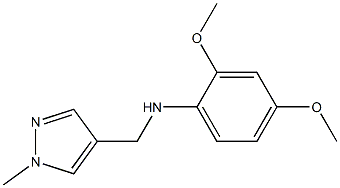 2,4-dimethoxy-N-[(1-methyl-1H-pyrazol-4-yl)methyl]aniline